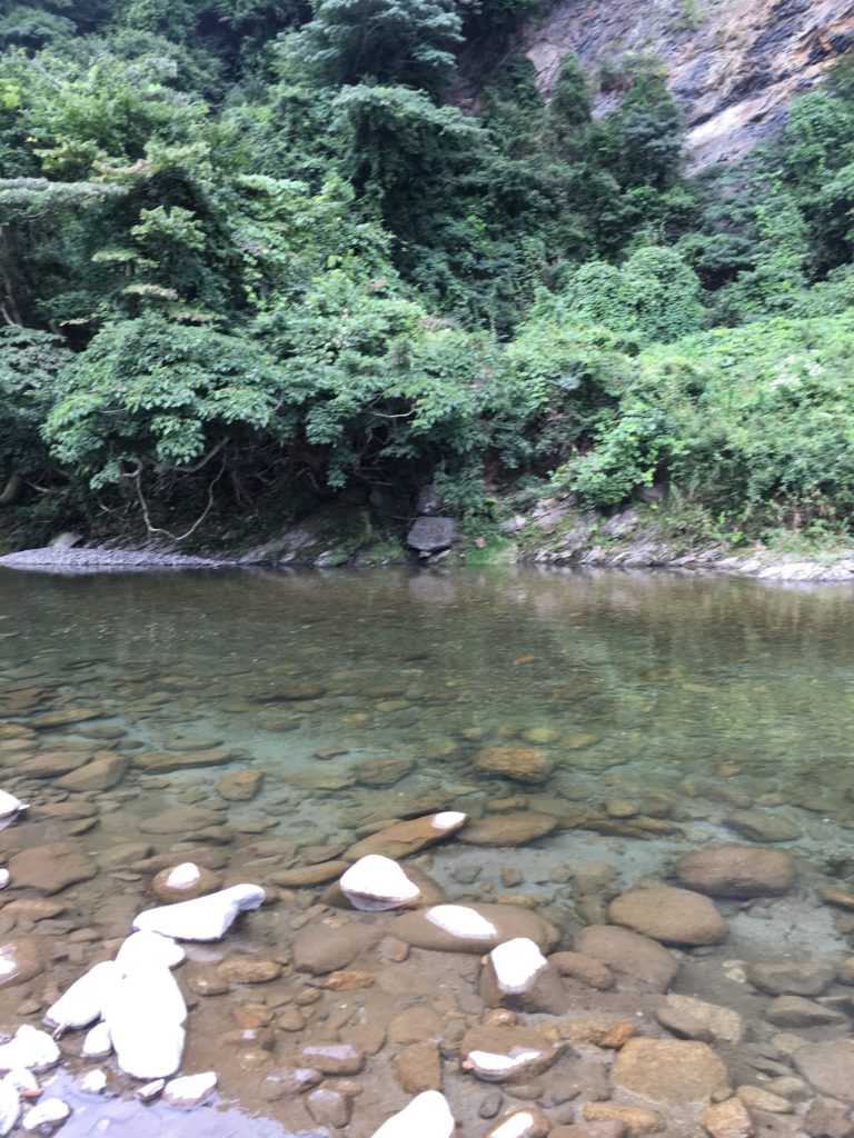 ルアーでウグイ オイカワを釣ってみよう 夏にオススメ雑魚テンカラ 管釣りタックルでそのままok 管釣りマニア