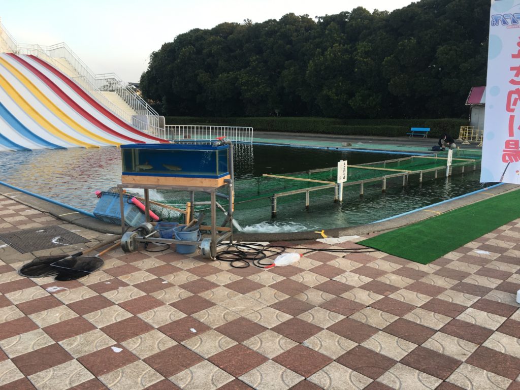 さいたま水上公園 プールフィッシング アクセス レギュレーション 料金 持ち帰り 大物 色物 フェザー ファミリー 女性 初心者 トイレ