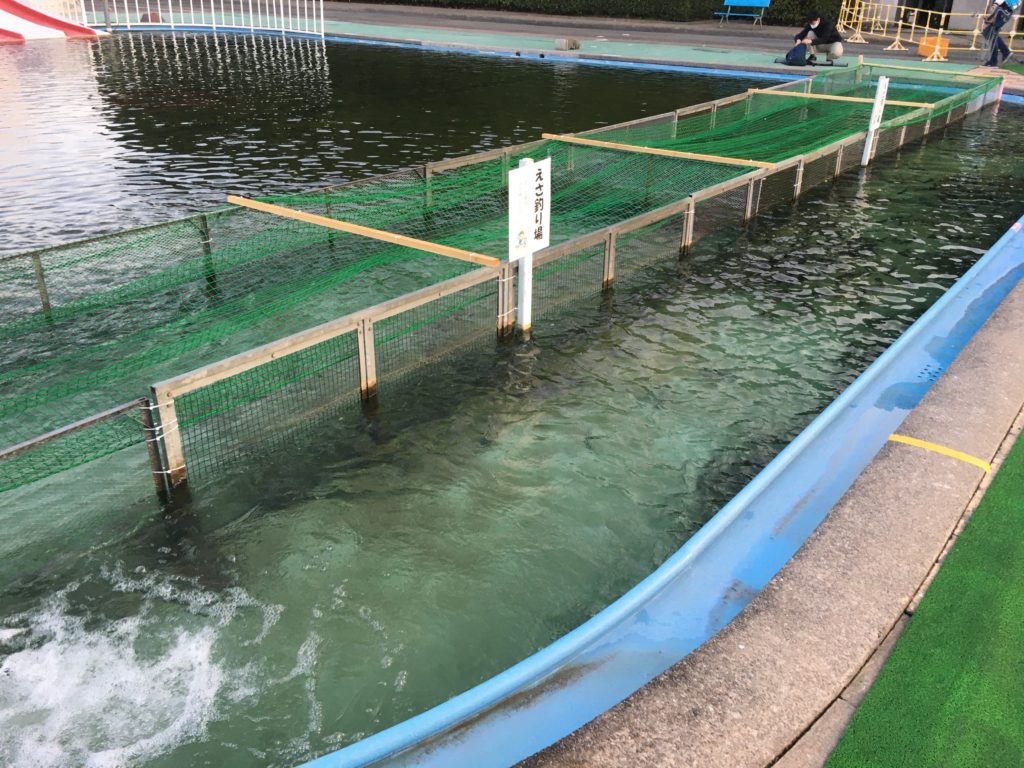 さいたま水上公園 プールフィッシング アクセス レギュレーション 料金 持ち帰り 大物 色物 フェザー ファミリー 女性 初心者 トイレ