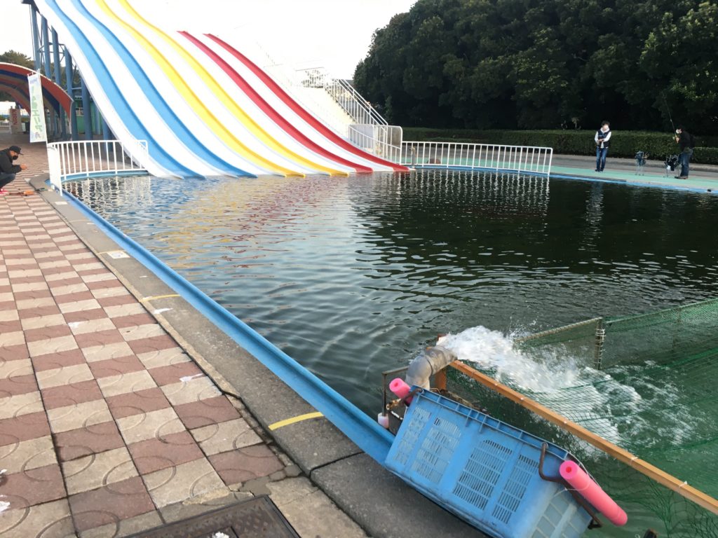 さいたま水上公園 プールフィッシング アクセス レギュレーション 料金 持ち帰り 大物 色物 フェザー ファミリー 女性 初心者 トイレ