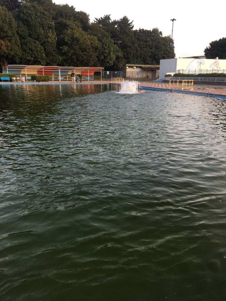 さいたま水上公園 プールフィッシング アクセス レギュレーション 料金 持ち帰り 大物 色物 フェザー ファミリー 女性 初心者 トイレ
