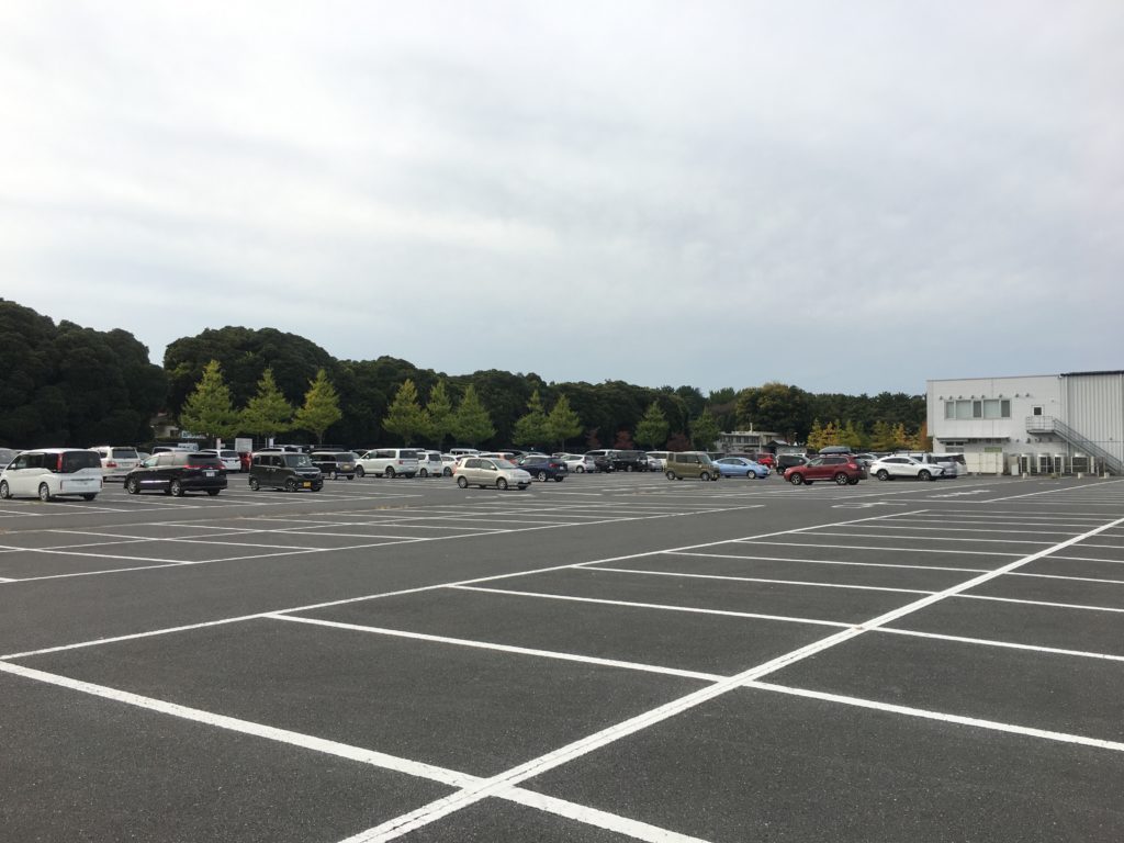 さいたま水上公園 プールフィッシング アクセス レギュレーション 料金 持ち帰り 大物 色物 フェザー ファミリー 女性 初心者 トイレ