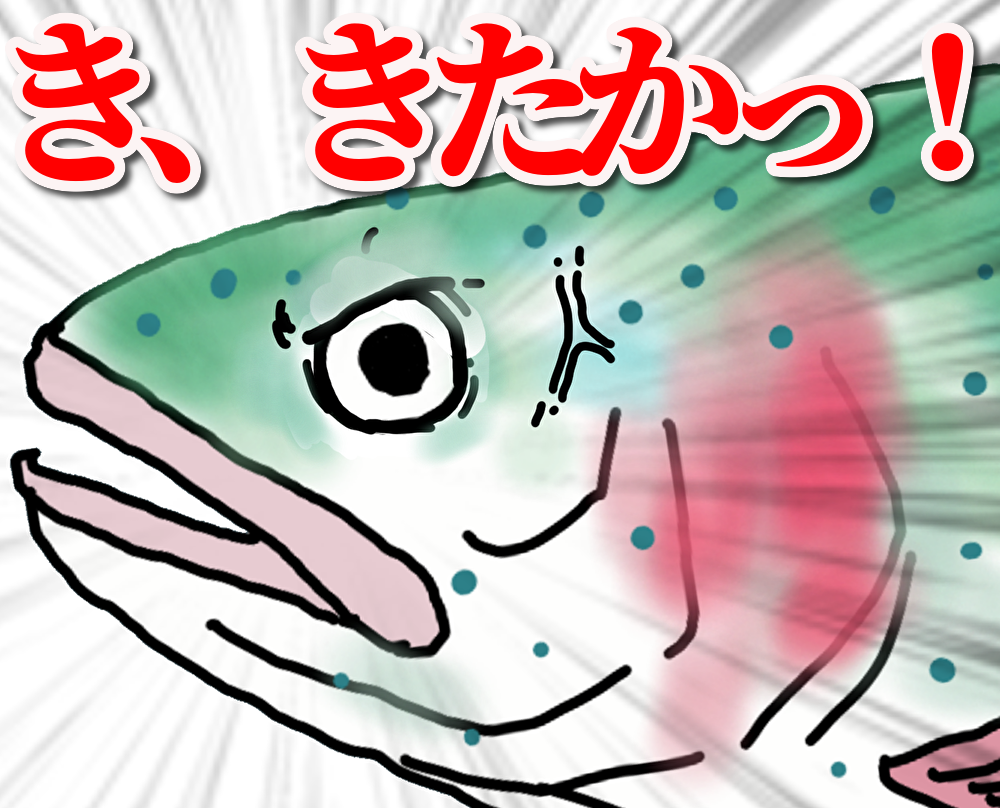 さいたま水上公園 釣り プールフィッシング レギュレーション 大物 料金 色物 初心者 大型変形プール フェザージグ 豆